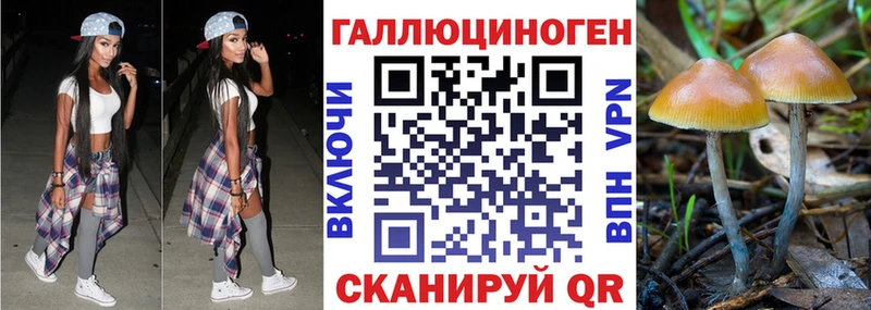 Псилоцибиновые грибы мухоморы  магазин продажи   Майкоп 