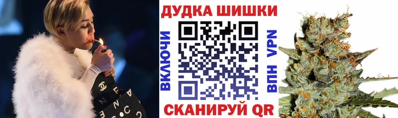 Каннабис планчик  где можно купить наркотик  Майкоп 